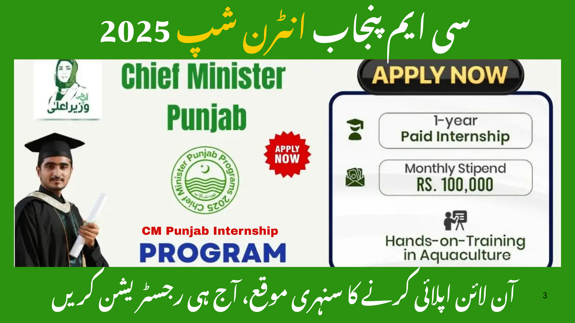 CM Punjab Internship Program