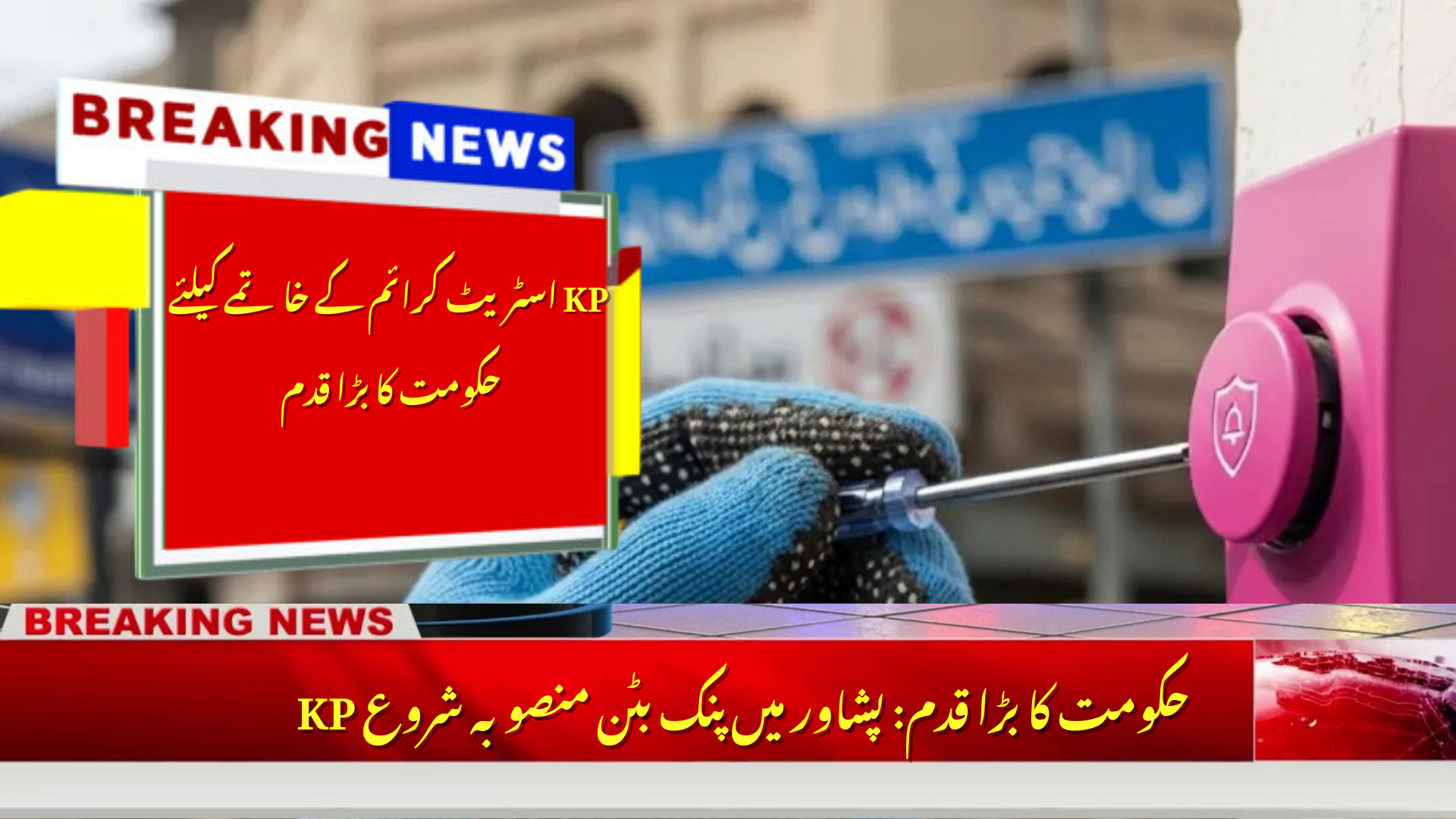 KP Govt Launches Pink Button Project