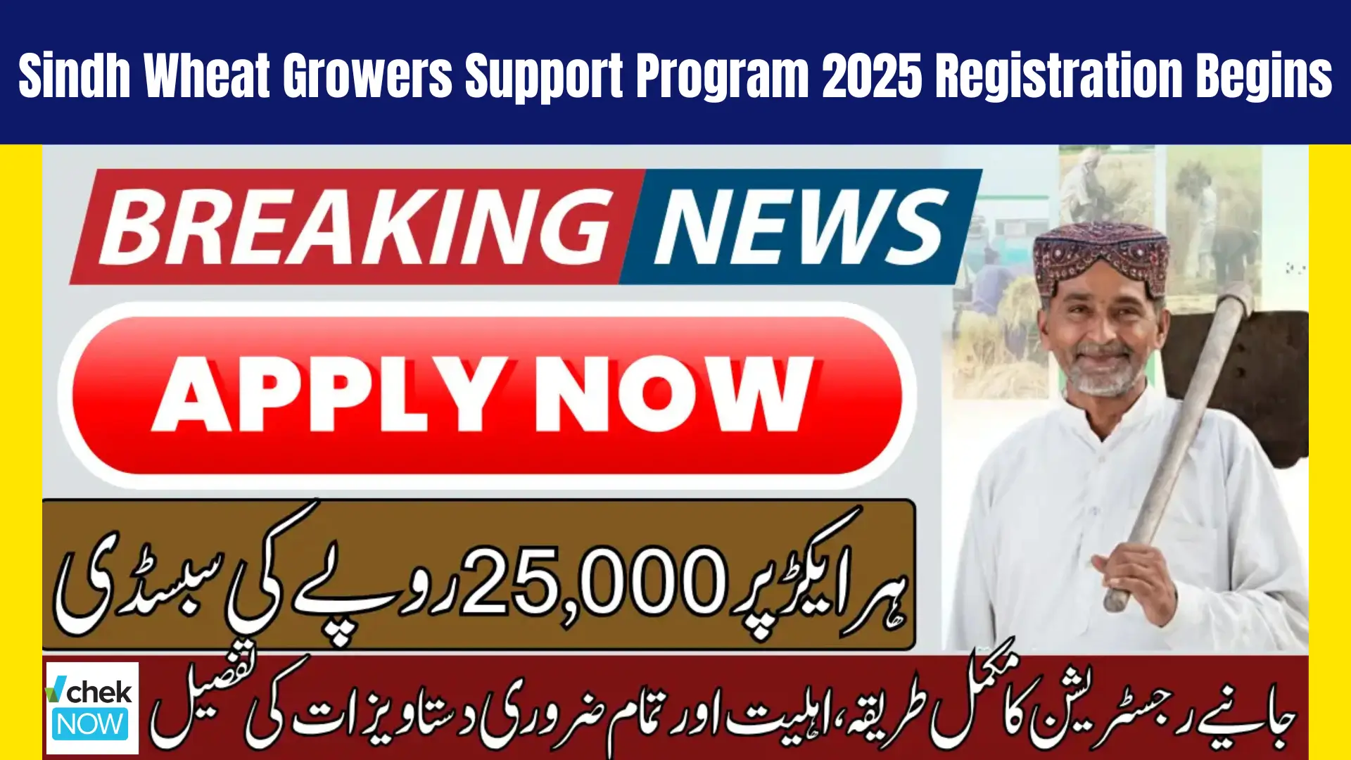 Sindh Wheat Growers Support Program 2025 Registration Begins
