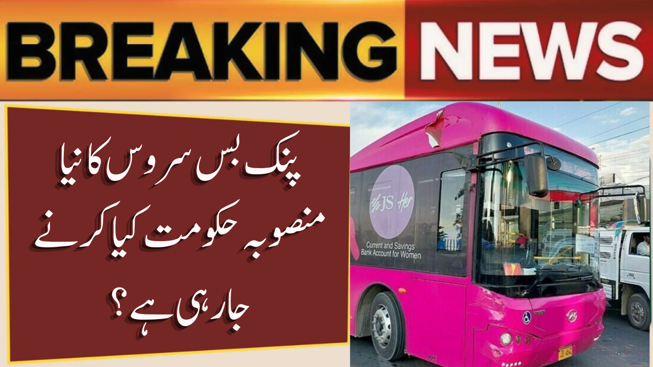 Sindh Pink Bus Service: New Routes, Expansion & Women’s Safety Initiative